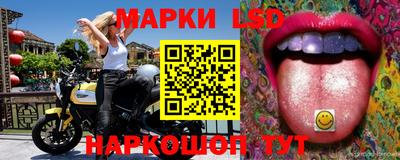шишки Камышлов