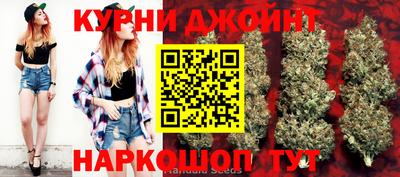 шишки Камышлов