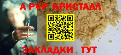 шишки Камышлов